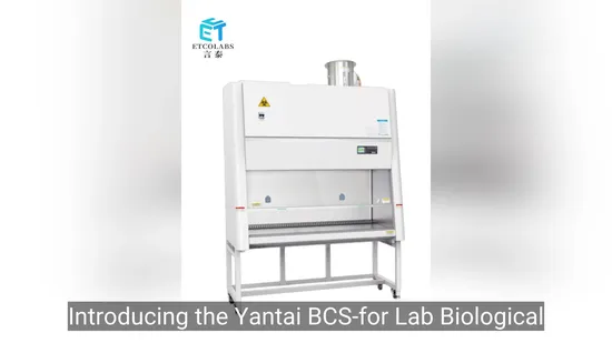 Yantai BCS