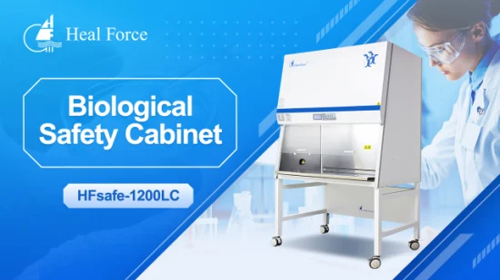 Lab Hospital Medical Class II Type A2 B2 Bsc Microbiological Lab Cabinet Laboratory Biosafety Biological Chemical Safety Cabinet PCR with HEPA Filter